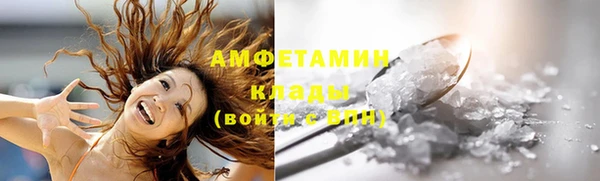 прущие грибы Костерёво