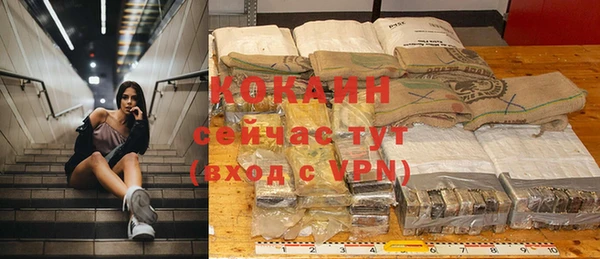 ГАЛЛЮЦИНОГЕННЫЕ ГРИБЫ Белокуриха